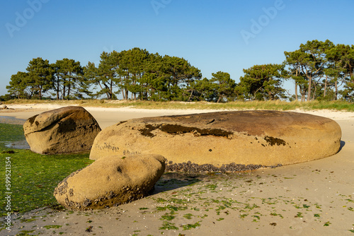 Beach at sunset in the Carreir  n Natural Park into the Arousa island with the pine forest