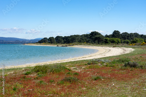 Beach at sunset in the Carreirón Natural Park into the Arousa island with the pine forest photo