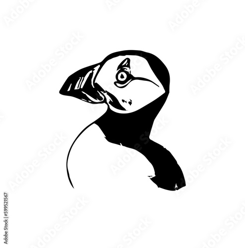 Fratercula arctica