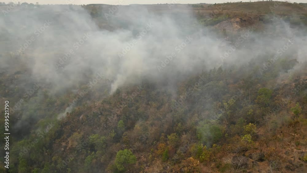 Drone view of forest fire on hillside. Smoke clouds above grass burning between trees. Drone view of forest fire on hillside. Smoke clouds above grass burning between trees.