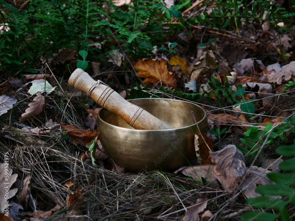 Obraz premium Singing bowl placed in the nature with some autumn leaves