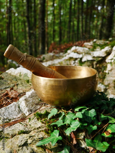 Singing bowl on a rock with the forest in the background