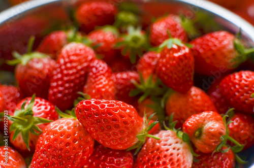 A lot fresh strawberries in a bowl. Freshly harvested.
