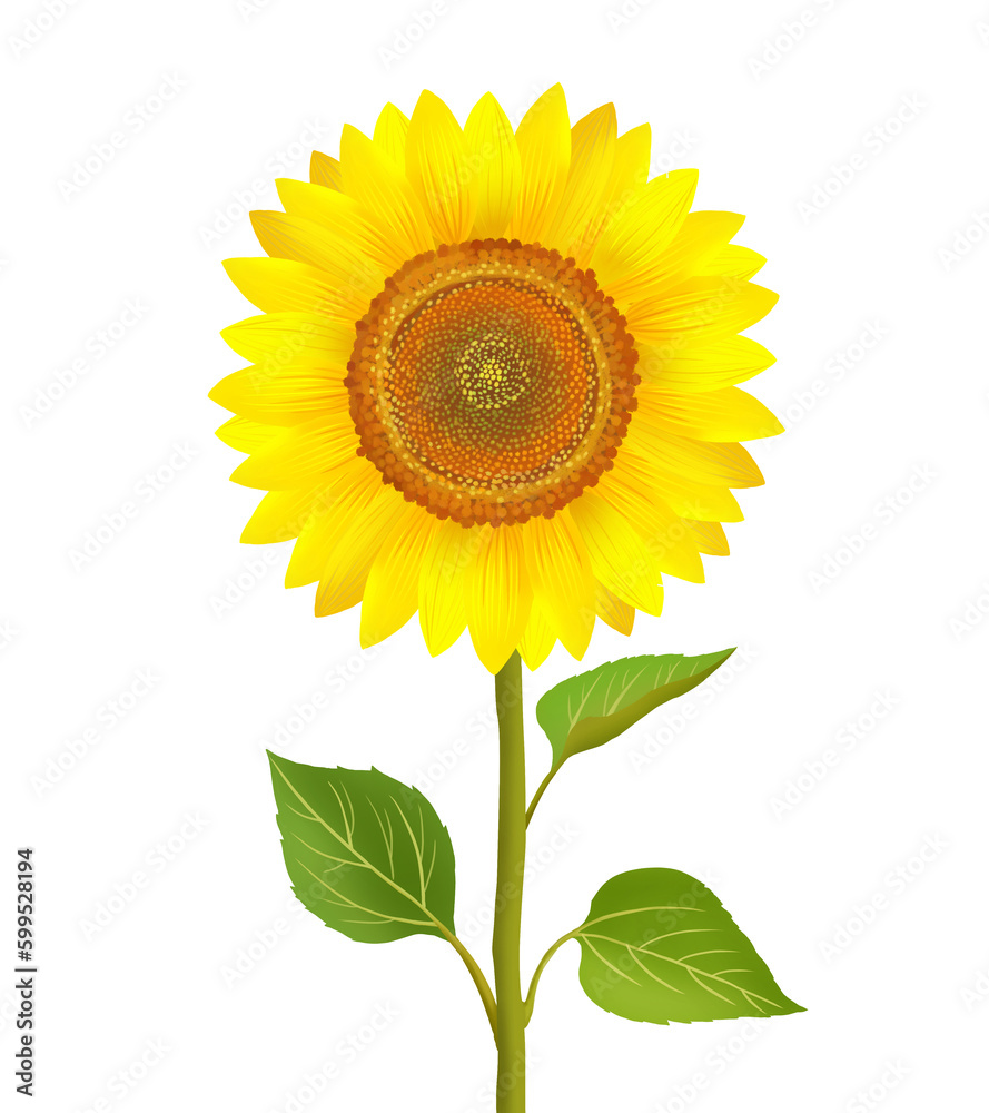Obraz premium sunflower illustration, 해바라기 일러스트