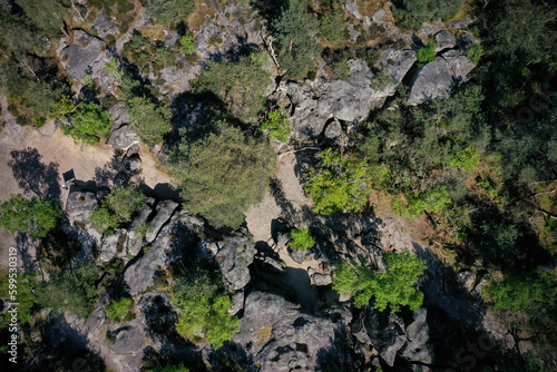 aerial view of the franchard gorges in the forest of fontainebleau