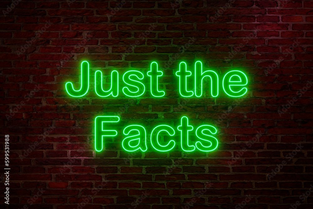 Fototapeta premium Just the facts, neon sign. Brick wall at night with the text 