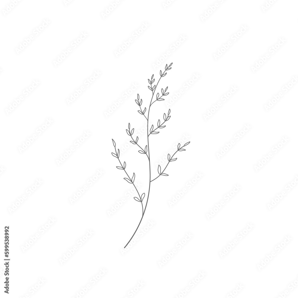 Elegant floral logo element. Branch.
