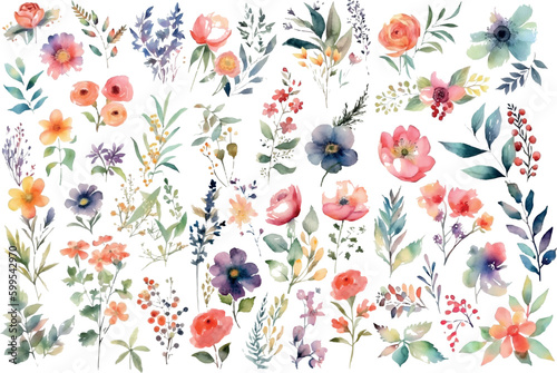 Set of vector watercolor floral elements. Wedding concept - flowers. Floral poster, invitation. Vector arrangements for greeting cards or invitations