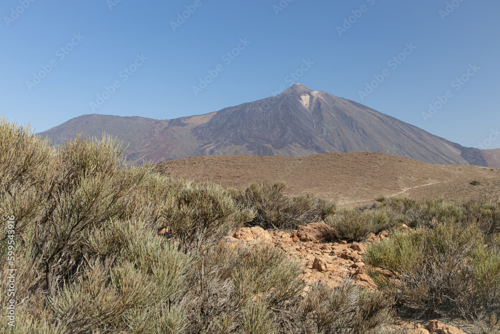 Peak of Mount Teide called 'Pico del Teide'. View of the caldera and volcanic landscape. Teide National Park, Tenerife, Canary islands, Spain.