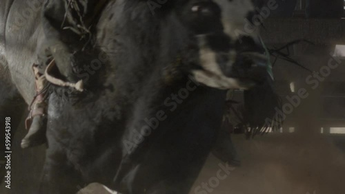 A cowboy rides a rank black bull that kicks up dust in the sunlight.