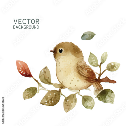 bird nature watercolor neutral colors for kids simple drawing childish cute