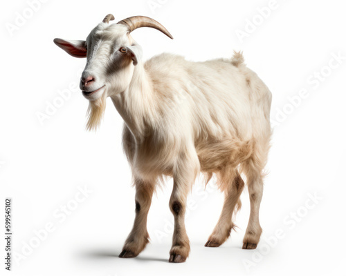 photo of goat isolated on white background. Generative AI