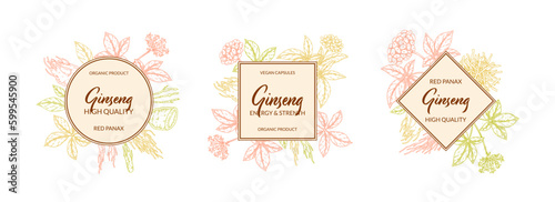 Ginseng design. Hand drawn botanical vector illustration in sketch style. Can be used for packaging, label, badge, logo. Herbal medicine background
