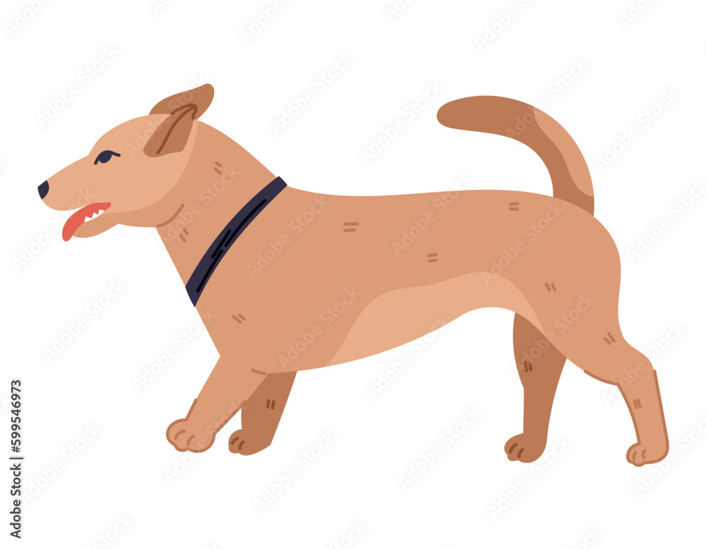 Running mongrel dog with a collar and protruding tongue, profile view. Vector isolated flat illustration of a domestic animal.