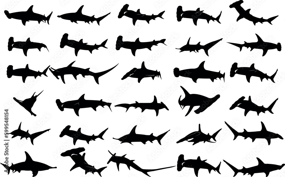 Fototapeta premium Collection of black silhouettes hammerhead sharks