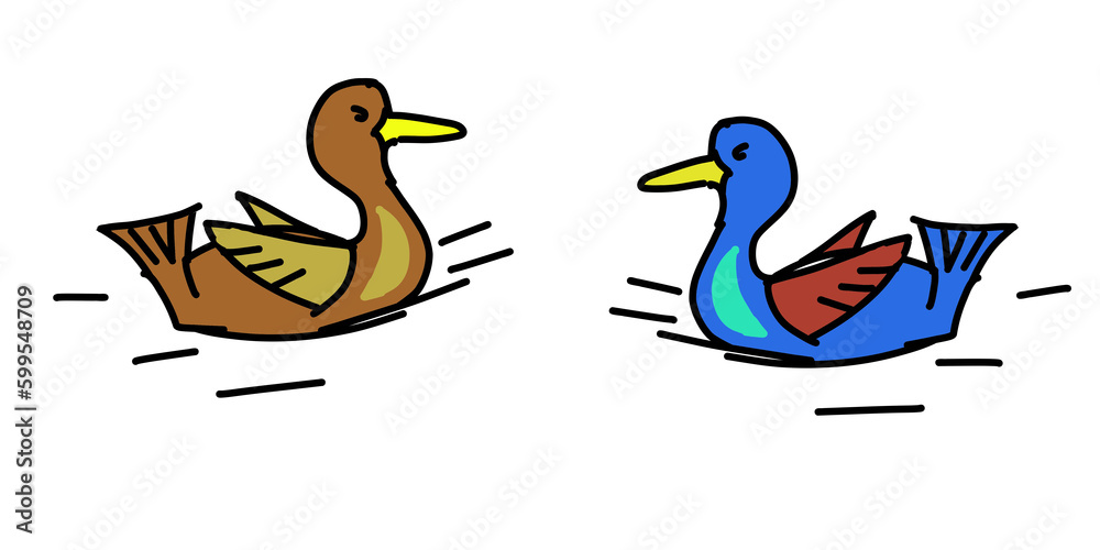illustration of a bird on the water isolated on white background illustration of a bird on the water isolated on white background