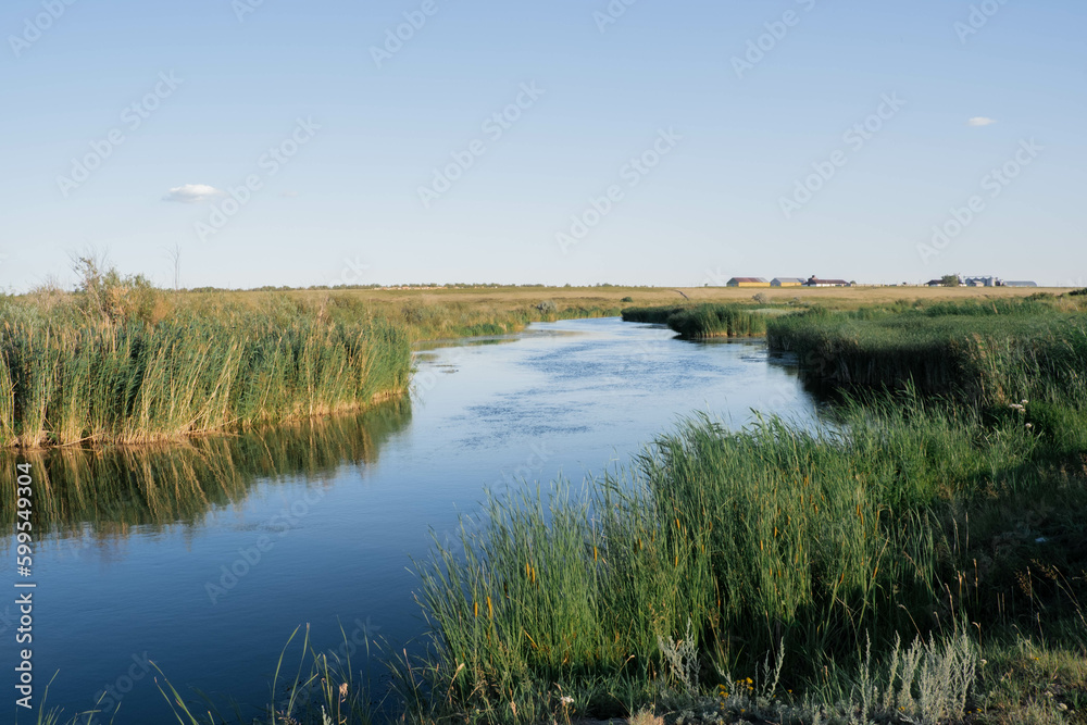 landscape with a river