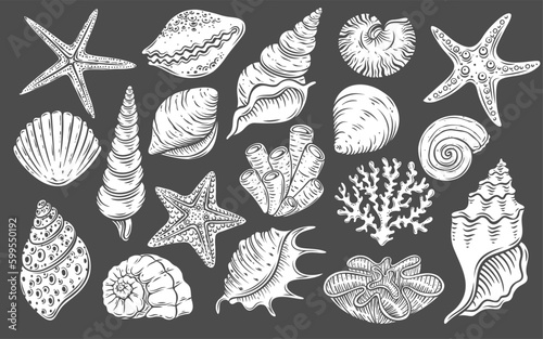 Seashell glyph icons set vector illustration. White stamps of undersea or beach life collection isolated on black, sea or ocean animals in shell, starfish and coral, cowrie and scallop seashell