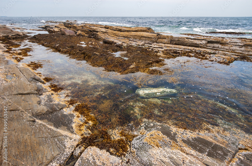 Two Lights State Park in Maine in Cape Elizabeth, Maine