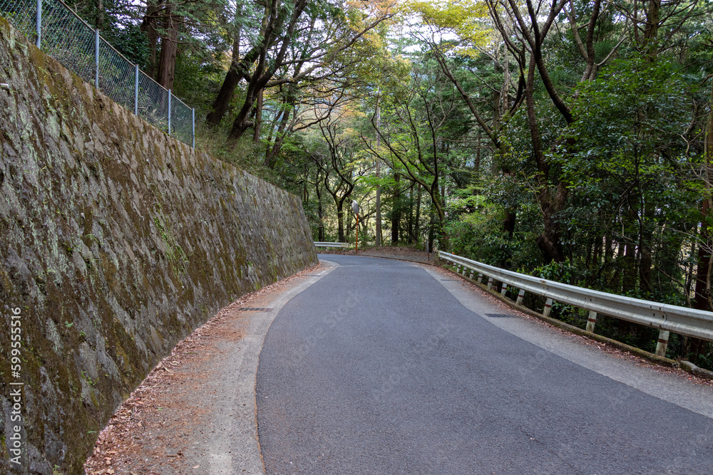 Fototapeta premium 舗装された下り坂の山道 