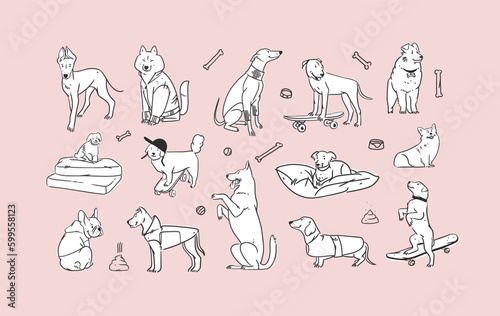 Hand drawn vector abstract graphic line collection set with diverse cute funny cartoon dogs characters.Vector illustration of funny cartoon different breeds dogs in trendy flat style. Line dog icon.