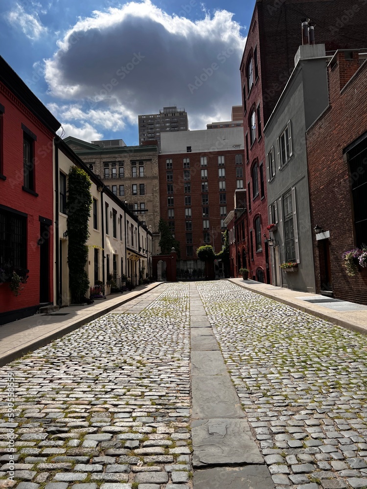 Fototapeta premium Beautiful street in New York