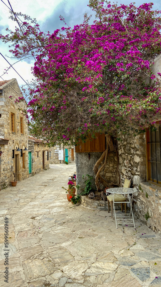 Houses in Datça district of Muğla, old Datça streets, old stone houses, animals enjoying the street
