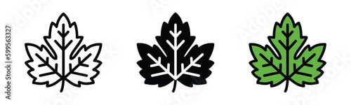 Hop leaf icon vector. Maple or hops leaf icons in line, flat, and color style with editable stroke on white background. Vector illustration