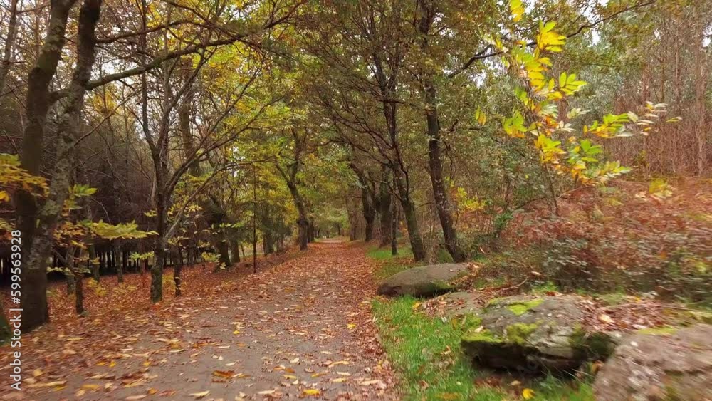 Drone Shot Flying Through Path on the Way of St James, Camino De Santiago in Spain Drone Shot Flying Through Path on the Way of St James, Camino De Santiago in Spain