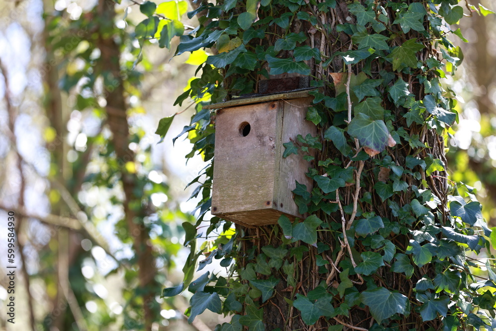 Bird house built in a tree.