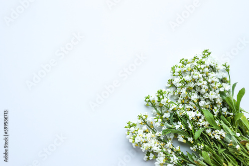 Beautiful spring background of white flowers. Flat lay, top view