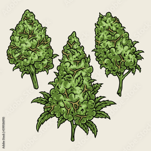 Green cannabis colorful detailed sticker