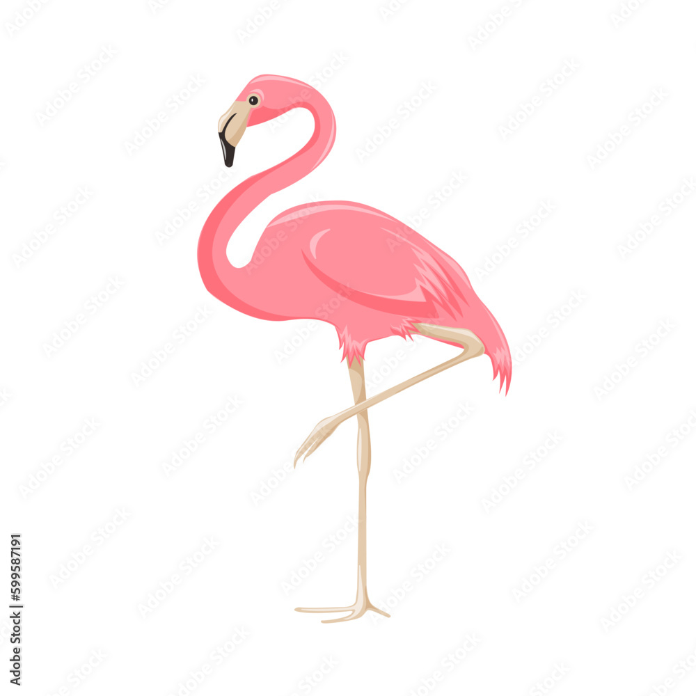 Vector illustration of a pink flamingo in cartoon style on a transparent background.