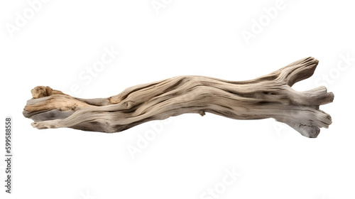 流木の美しさを表現したアートワーク(切り抜き) No.023 | Artwork (clipping) expressing the beauty of driftwood Generative AI