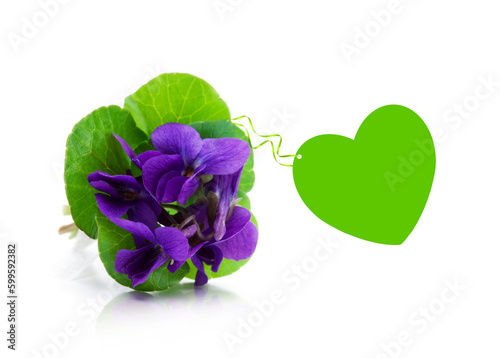 Veilchen Bouquet mit einem Grünen Herz