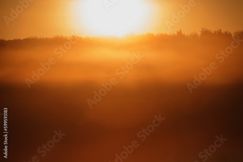 Golden grass in the rays of the morning sun. Horizontal image.