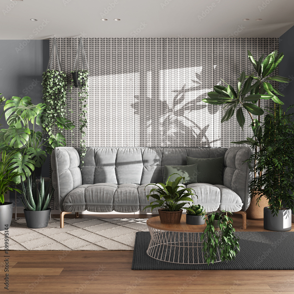 Urban jungle, living room with velvet sofa in white and gray tones. Carpets with table, parquet floor and houseplants. Home garden interior design. Love for plants concept