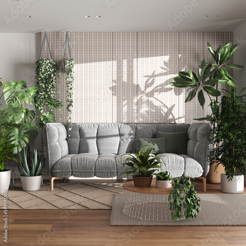 Urban jungle  living room with velvet sofa in white and wooden tones. Carpets with table  parquet floor and houseplants. Home garden interior design. Love for plants concept
