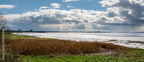 Fotografia View of the River Severn from Sharpness Docks, with Berkeley and Oldbury Magnox
