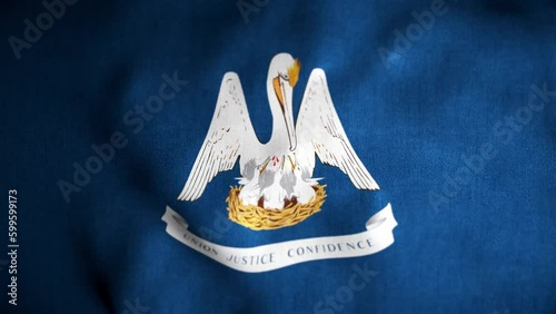 Louisiana Looped Flag