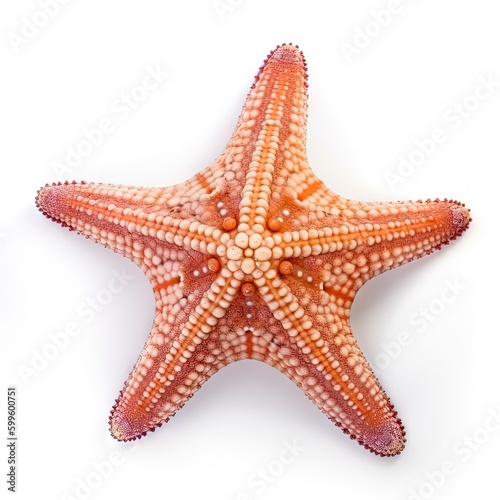 Starfish isolated on white