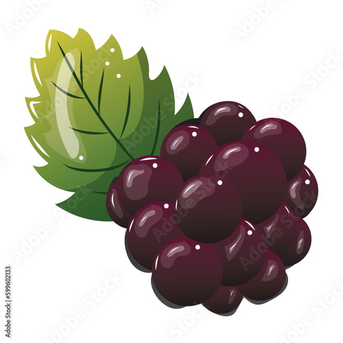 Mûre, illustration vectorielle, effet glossy