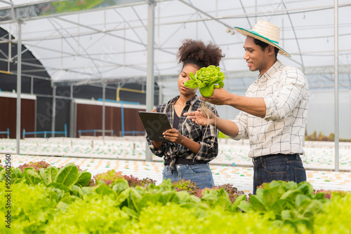 Two asian gardeners working in hydroponics vegetable farm holding tablet walking checking vegetables for harvest, male and female farmer holding green salad box looking at camera with smile in farm