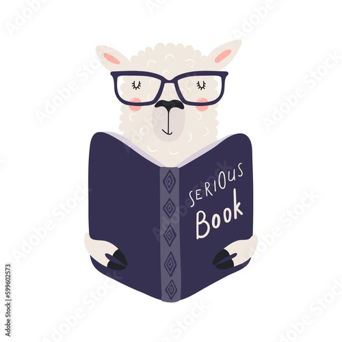 Cute funny llama reading book cartoon character illustration. Hand drawn Scandinavian style flat design, isolated vector. Kids print element, book lover, education, literature, library, bookstore