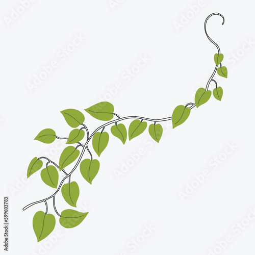 Floral ivy drawing decorative ornament flat design.