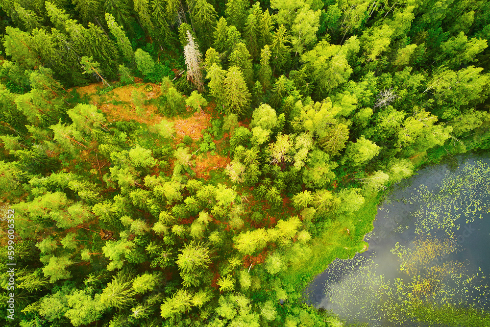 Naklejka premium Aerial view of Helgtrask lake in Sipoonkorpi national park of Finland