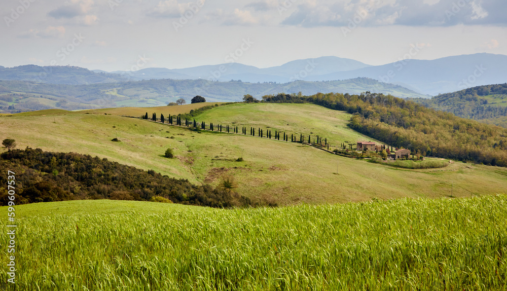 Fototapeta premium Across the hills