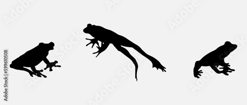 isolated black silhouette of a frog , vector collection