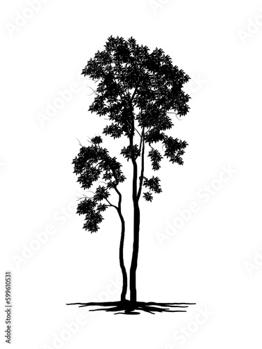 Black Branch Tree or Naked trees silhouettes. Hand drawn isolated illustrations.