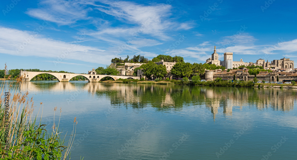 Panorama view of the city of Avignon on the Rhone River, France